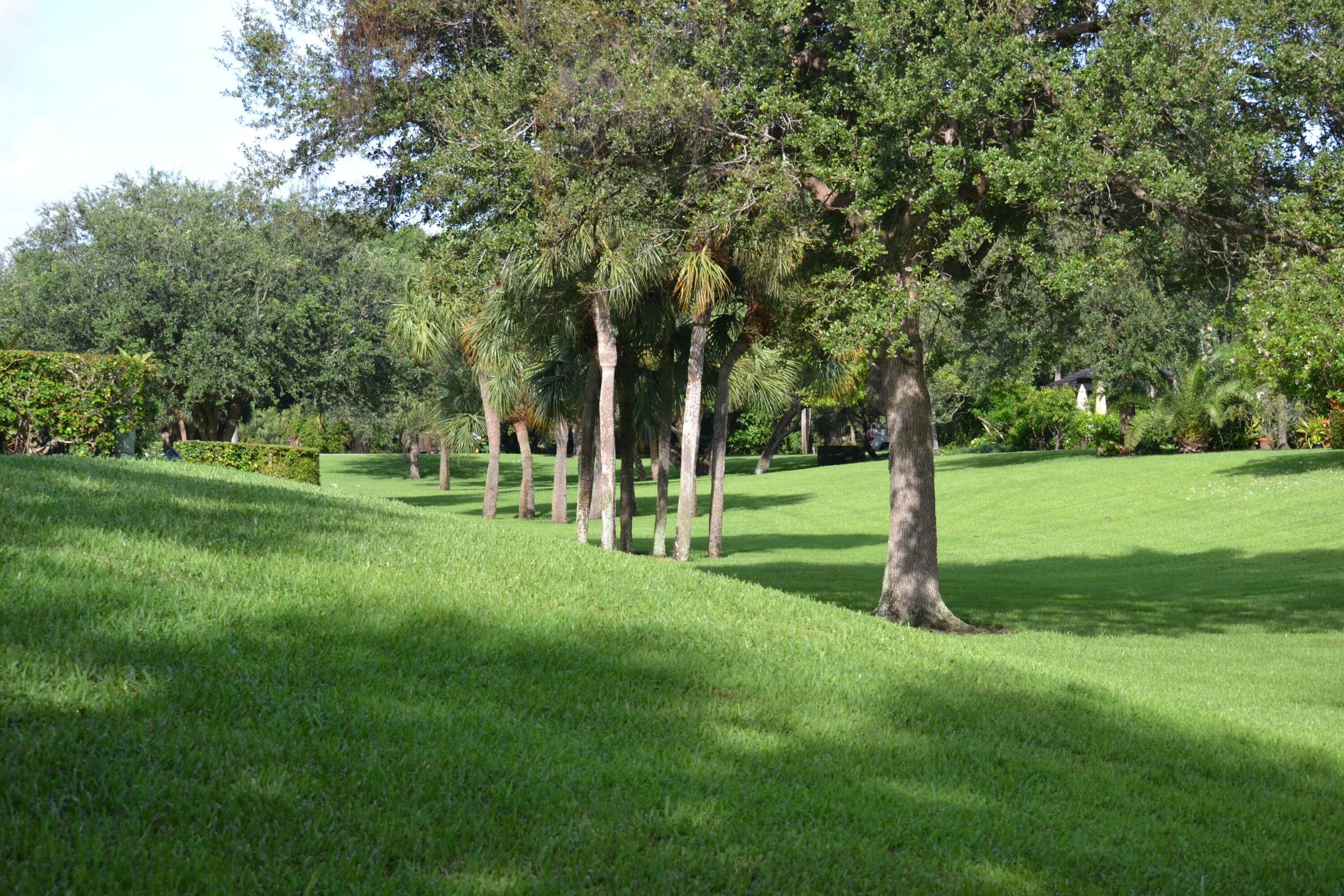 PARK AT WINDWOOD CONDO - Residential