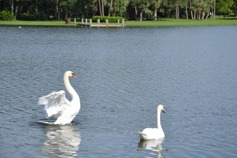 Tiny photo for 3129 Millwood Terrace #1380, Boca Raton, FL 33431 (MLS # B26026034)