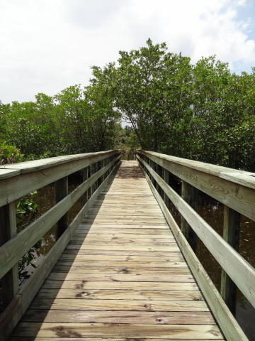 RIVERWALK - Residential