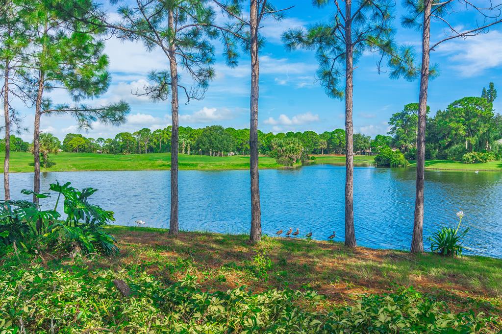 BRIARCLIFF AT PGA VILLAGE - Residential