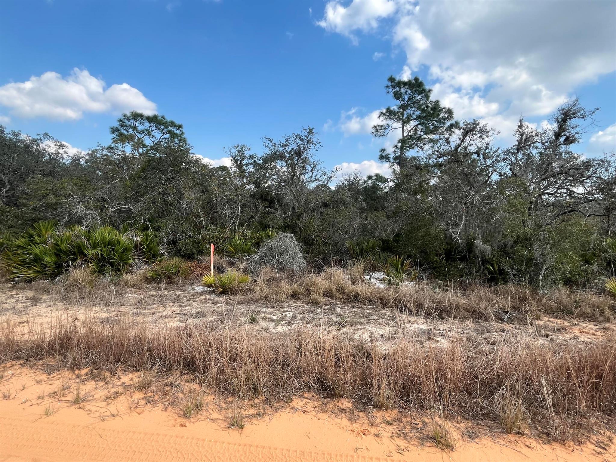 AVON PARK LAKES - Land