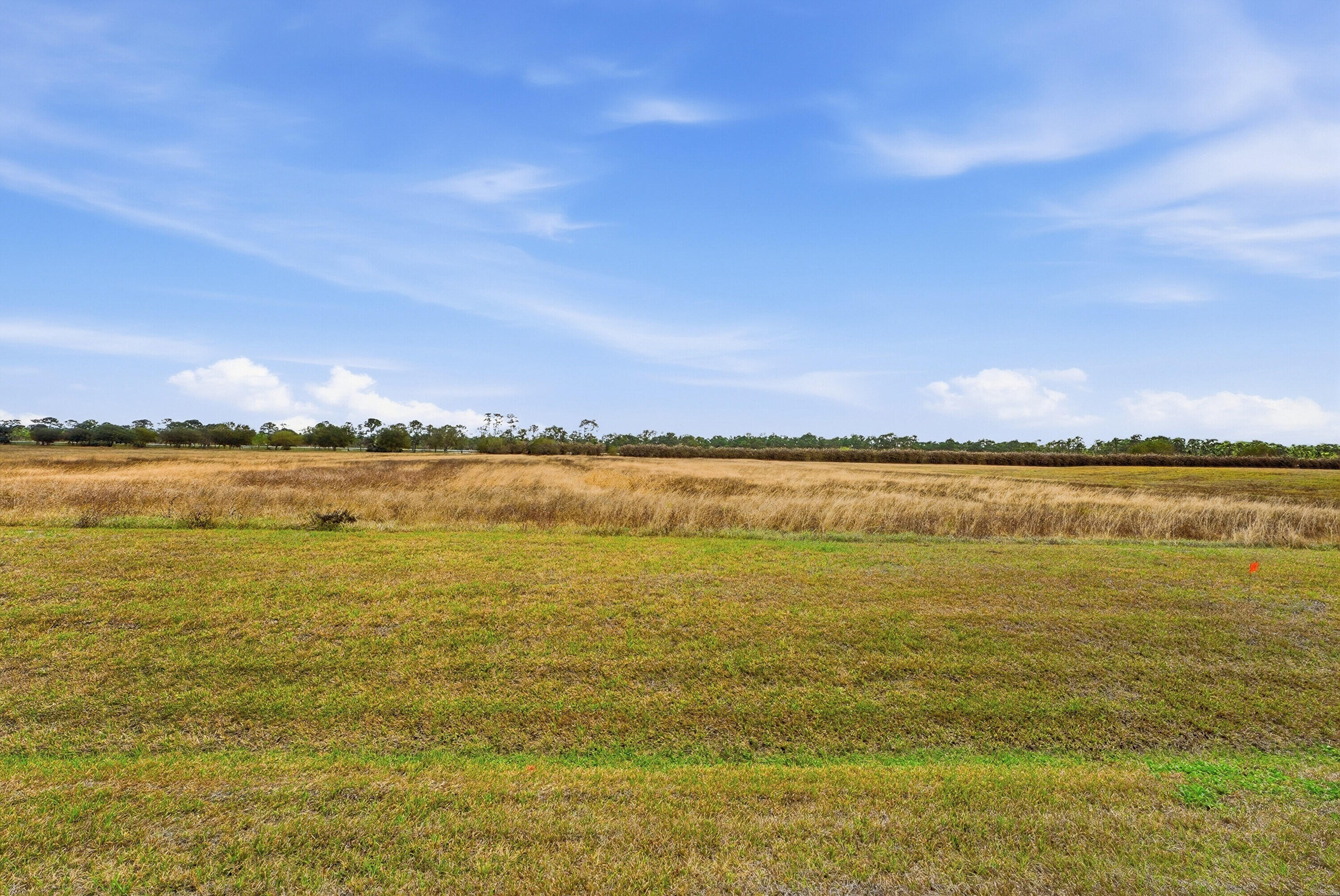 FOX GROVE (AKA MEADOW RUN) - Land