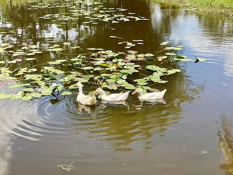 A home in Loxahatchee