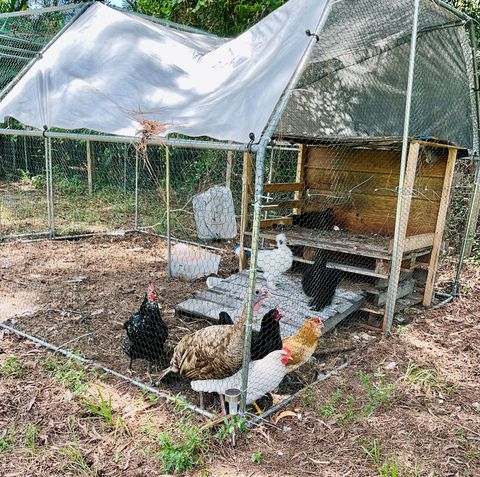 A home in Loxahatchee