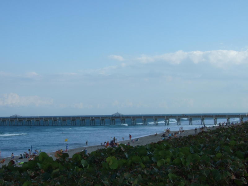 OCEANS AT THE BLUFFS - Residential Lease