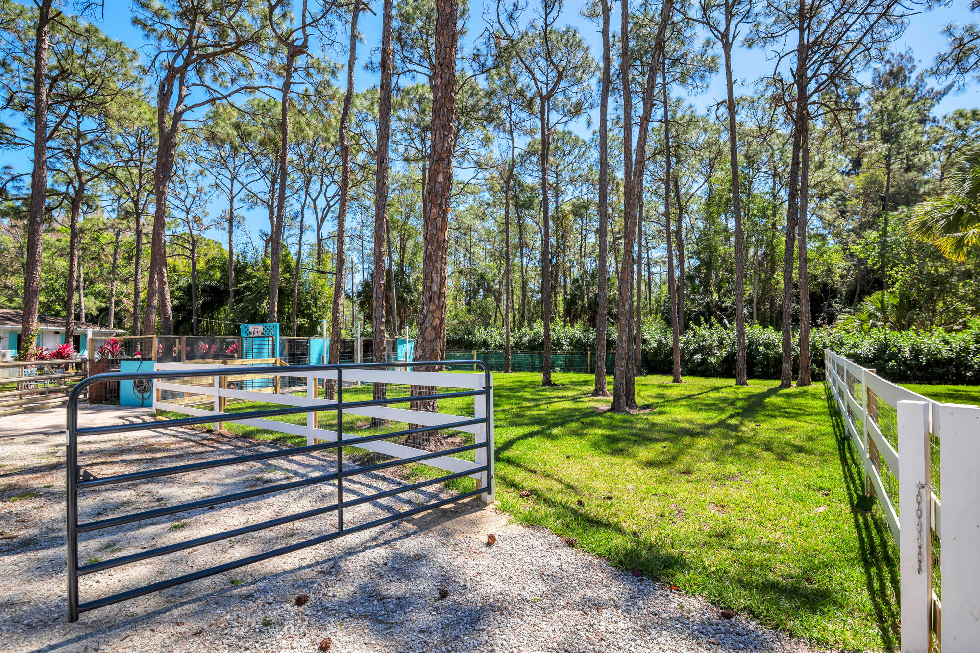 CALOOSA - Residential