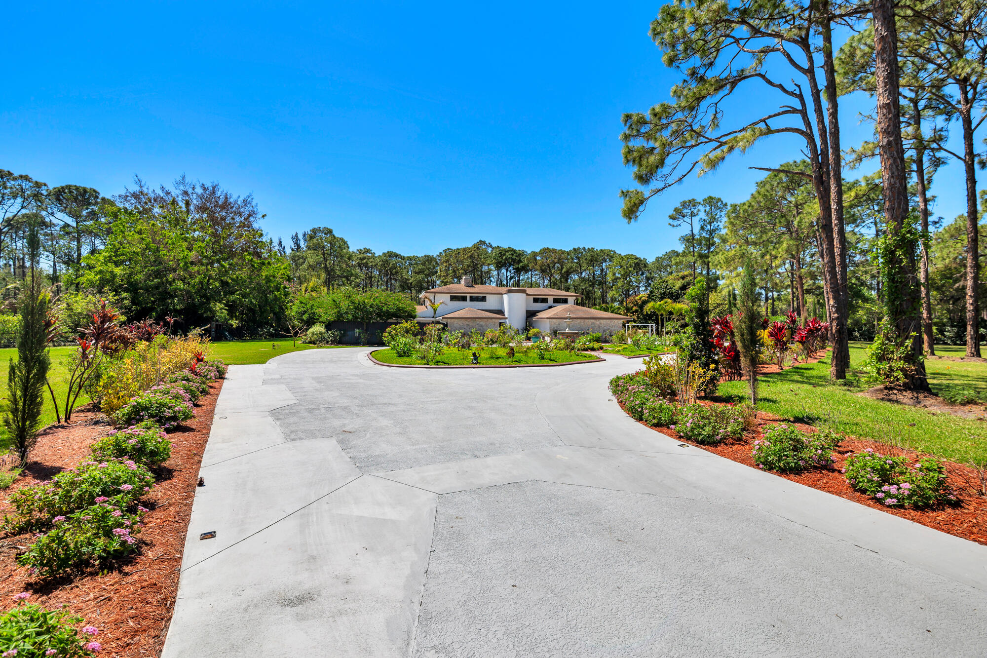 14645 Black Bear Road