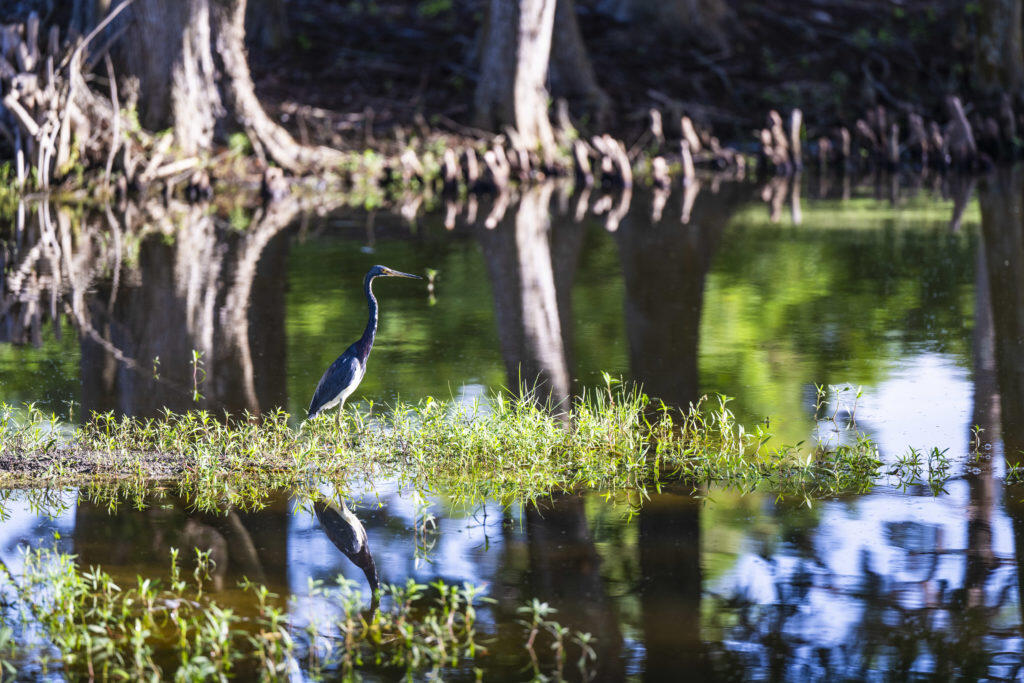 CRANE CREEK COUNTRY CLUB - Residential