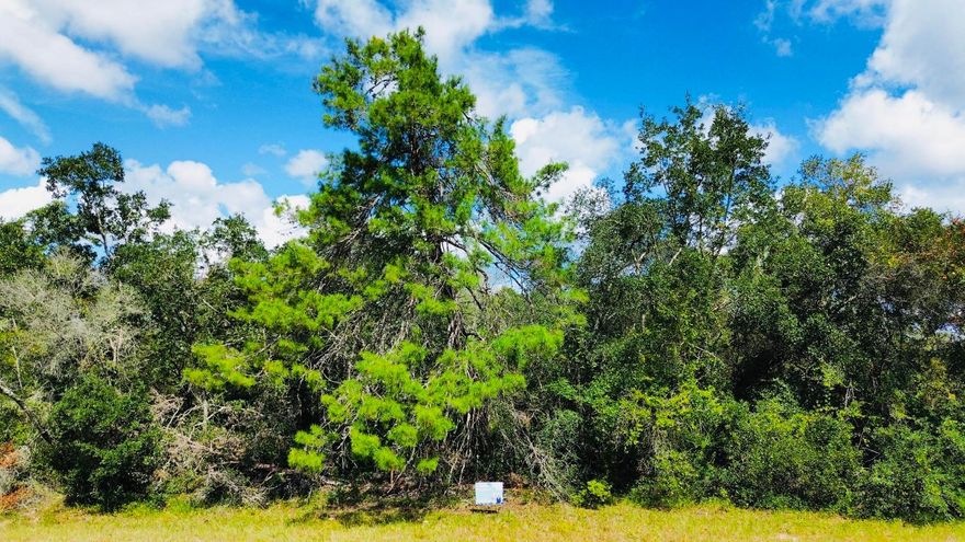 Oversized 0.32-acre lot in the sought-after Marion Oaks Unit 5 neighborhood, offering plenty of space to build your dream home. A boundary survey has already been completed, saving you time during the building process. Electric and public water are available, septic system required for sewer, and paved road access is in place. Located in a deed-restricted community and a dry Zone X area for added peace of mind. Just 5 minutes to the Marion Oaks Community Center and 30 minutes to the World Equestrian Center, this homesite offers an excellent opportunity in a desirable neighborhood with convenient access to shopping, dining, and equestrian venues.