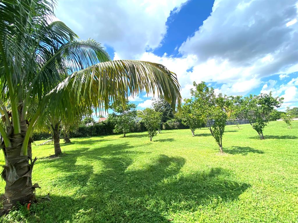 PALM BEACH FARMS CO 3 - Residential