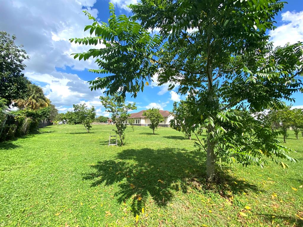 PALM BEACH FARMS CO 3 - Residential