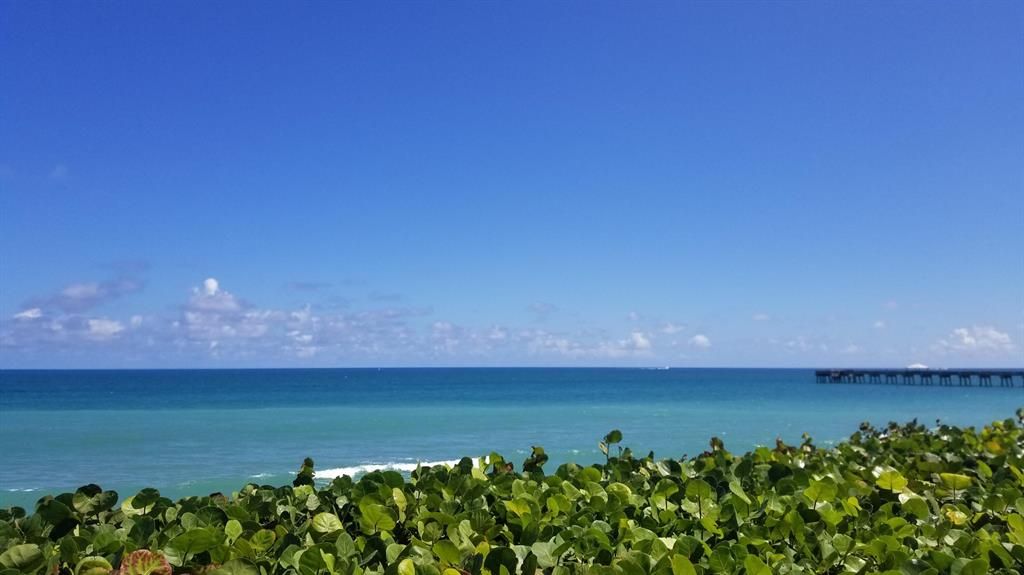 Photo of 101 S Seas Drive #102, Jupiter, FL 33477 (MLS # R10772873)