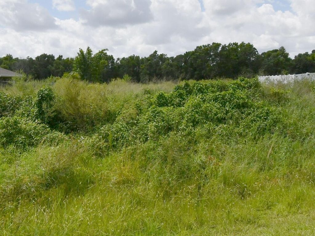 Photo of 5382 NW West Paden Circle, Port Saint Lucie, FL 34986 (MLS # R11089995)