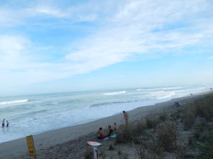 OUTDOOR RESORTS AT NETTLES ISLAND - Residential