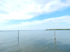 OUTDOOR RESORTS AT NETTLES ISLAND - Residential