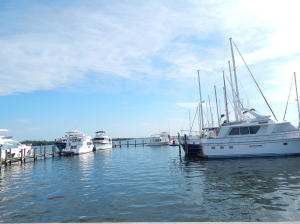 OUTDOOR RESORTS AT NETTLES ISLAND - Residential