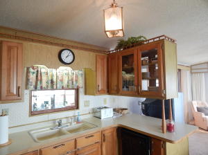 OUTDOOR RESORTS AT NETTLES ISLAND - Residential