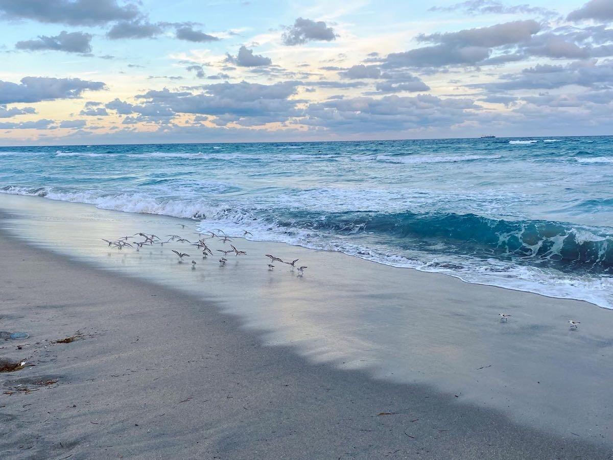 BOCA RATON SQUARE 9 - Residential