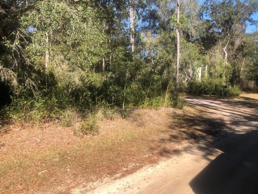 Beautiful oversized building lot in Interlachen right on Lakeshore Terrace. Drive by any time or schedule a showing. Take the first step to make this property your future home site.Owner Financing with only $1,500 down