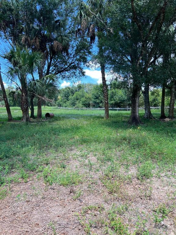 THE SOUTHERN COLONIZATION COMPANY PLAT - Land