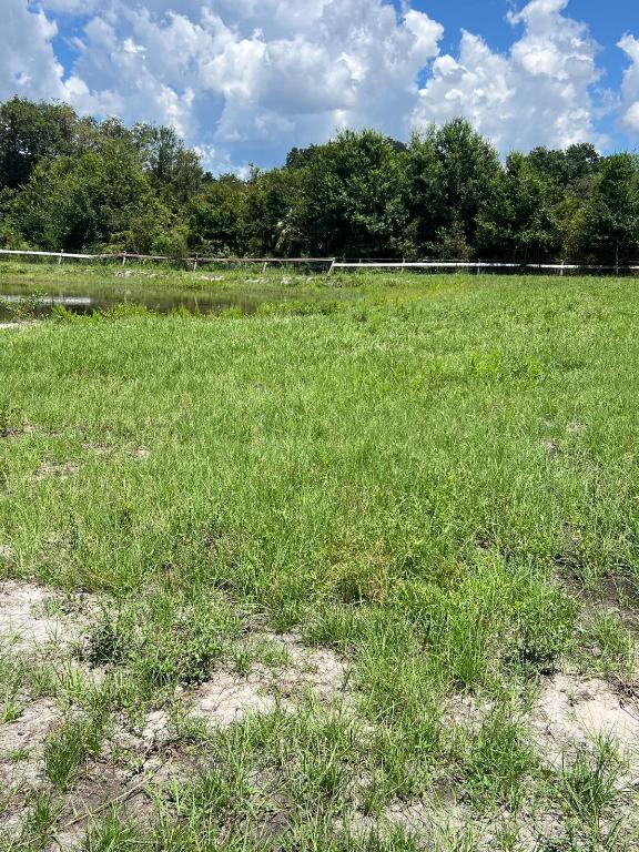 THE SOUTHERN COLONIZATION COMPANY PLAT - Land