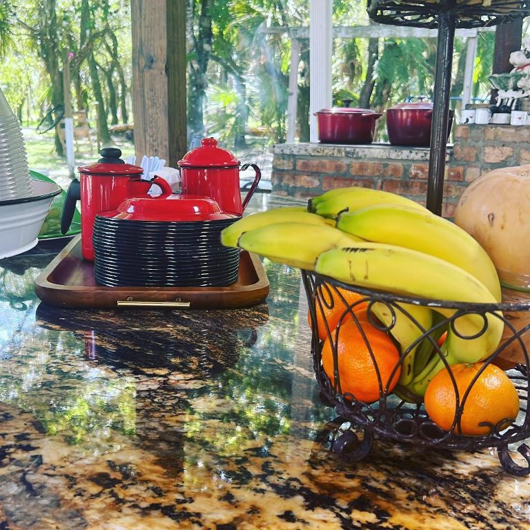 THE SOUTHERN COLONIZATION COMPANY PLAT - Land