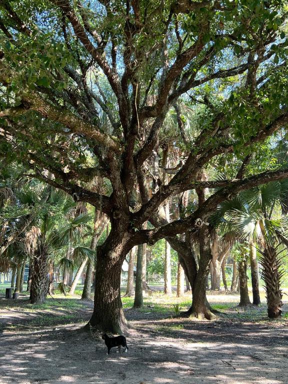 THE SOUTHERN COLONIZATION COMPANY PLAT - Land