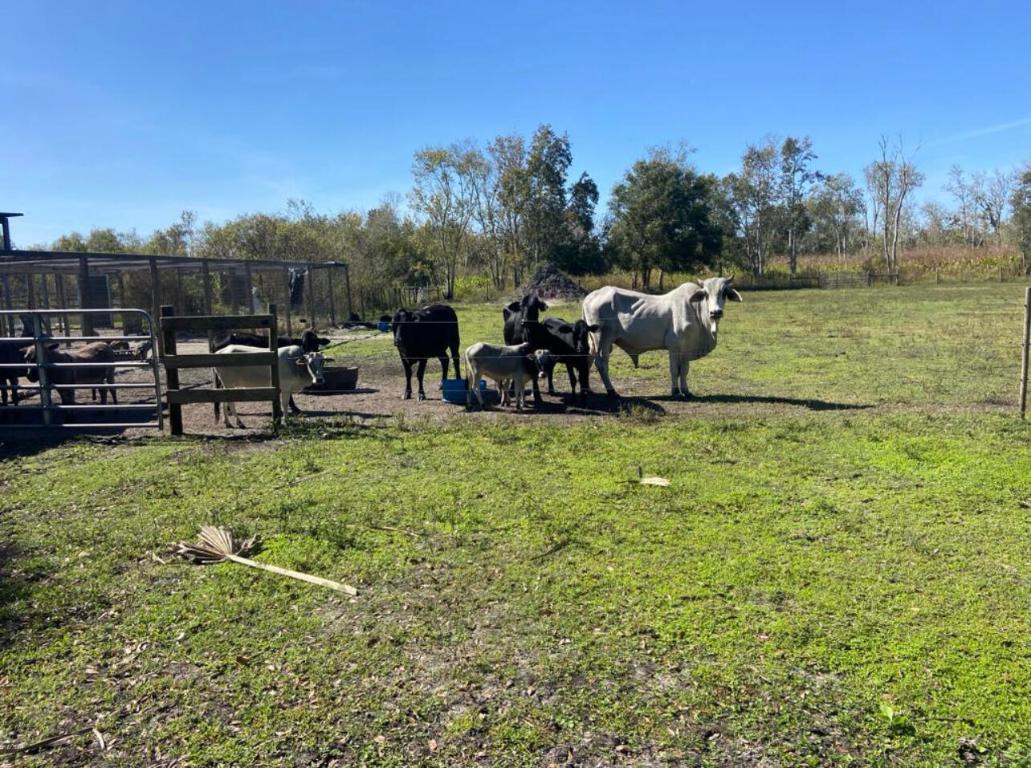 THE SOUTHERN COLONIZATION COMPANY PLAT - Land