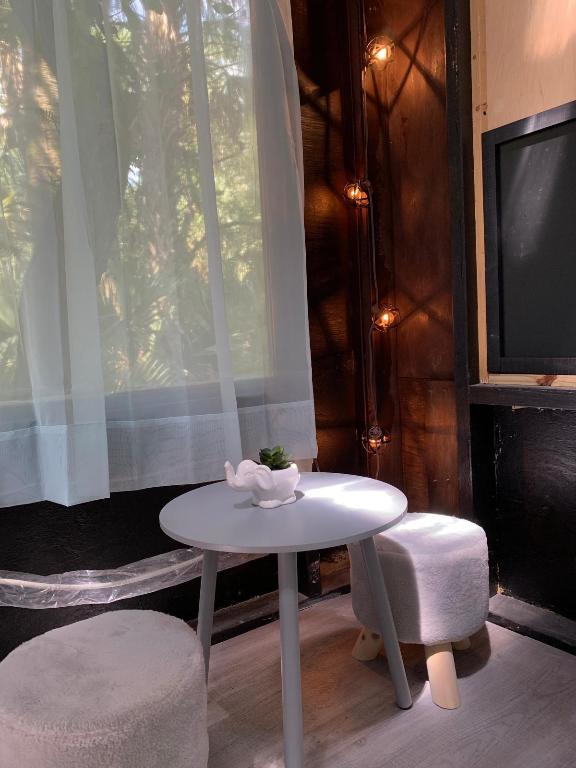 THE SOUTHERN COLONIZATION COMPANY PLAT - Land