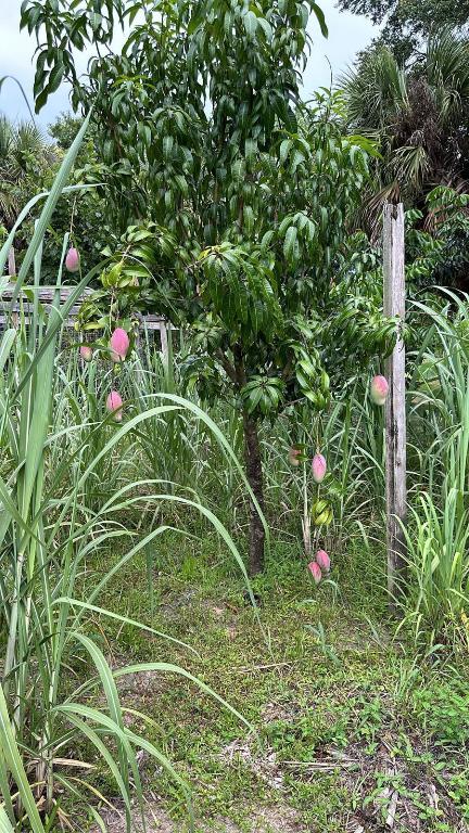 THE SOUTHERN COLONIZATION COMPANY PLAT - Land