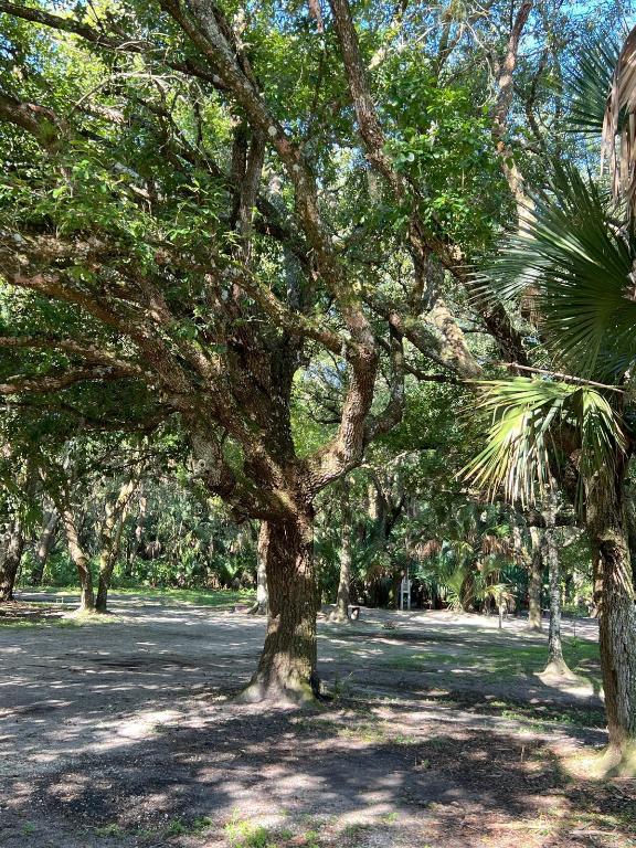 THE SOUTHERN COLONIZATION COMPANY PLAT - Land