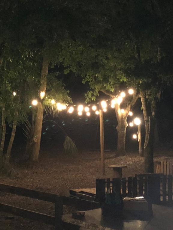 THE SOUTHERN COLONIZATION COMPANY PLAT - Land