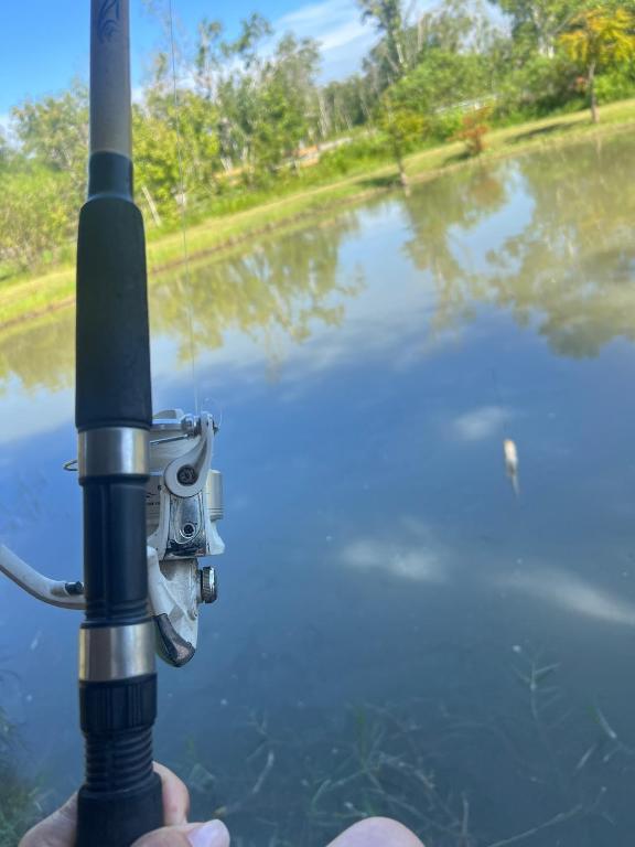 THE SOUTHERN COLONIZATION COMPANY PLAT - Land