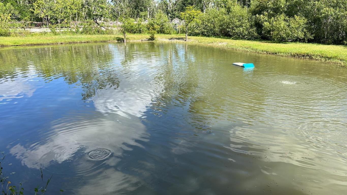 THE SOUTHERN COLONIZATION COMPANY PLAT - Land