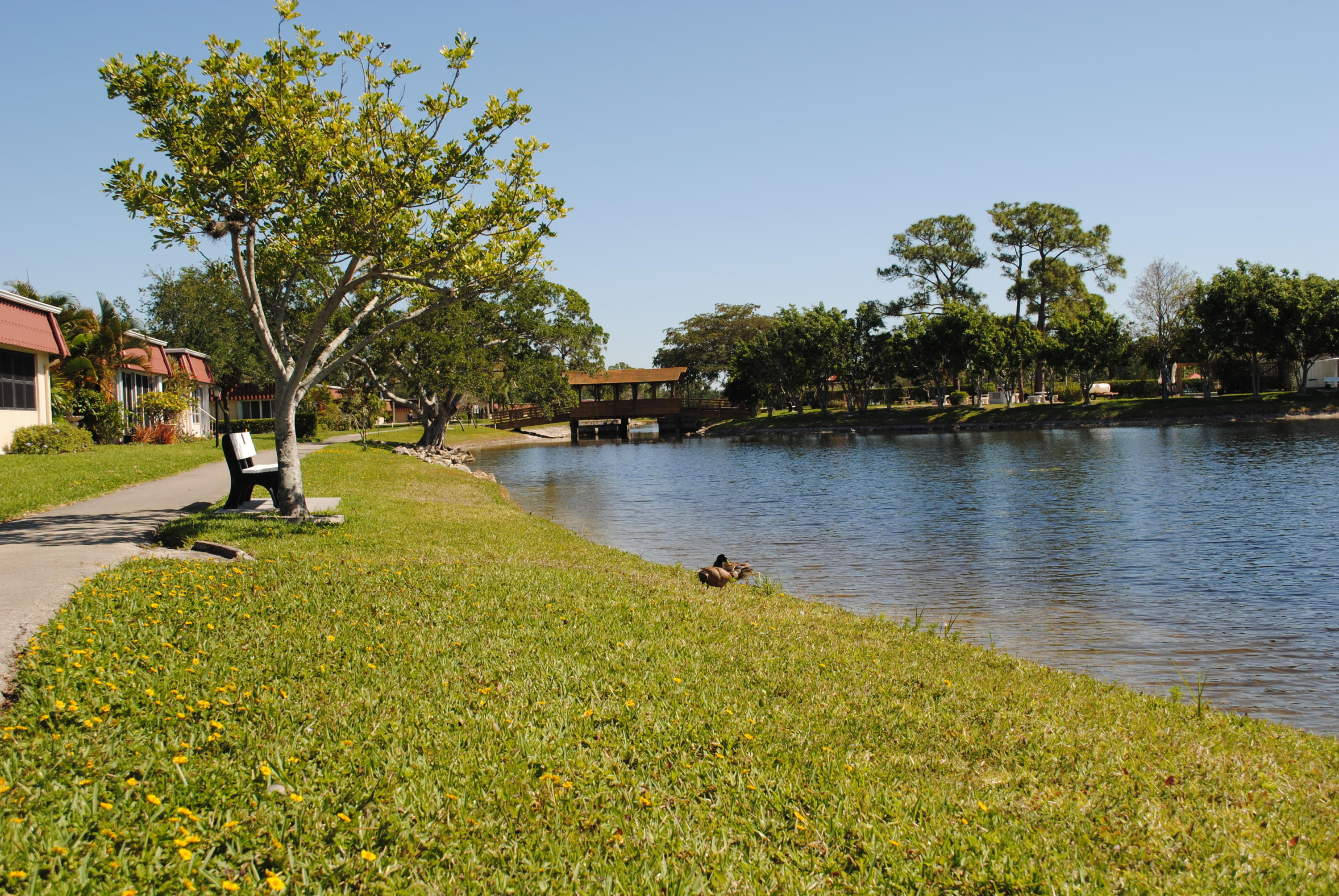 COVERED BRIDGE CONDO - Residential