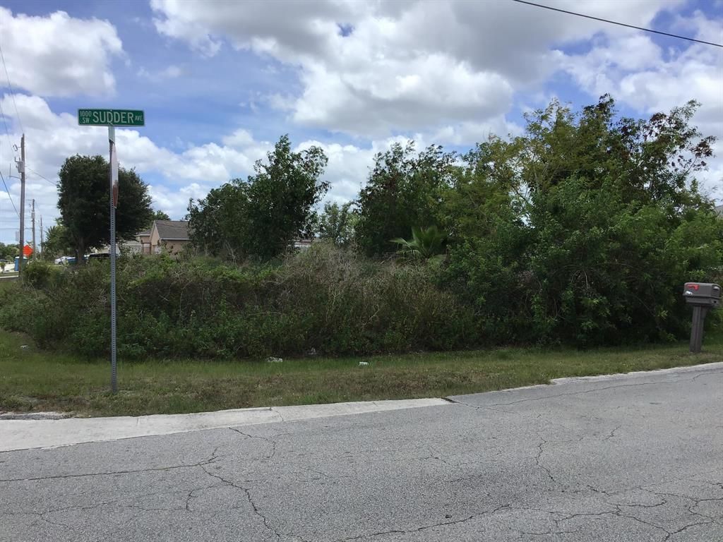 Photo of 1822 SW Idaho Lane Ln, Port St Lucie, FL 34953 (MLS # R10716785)