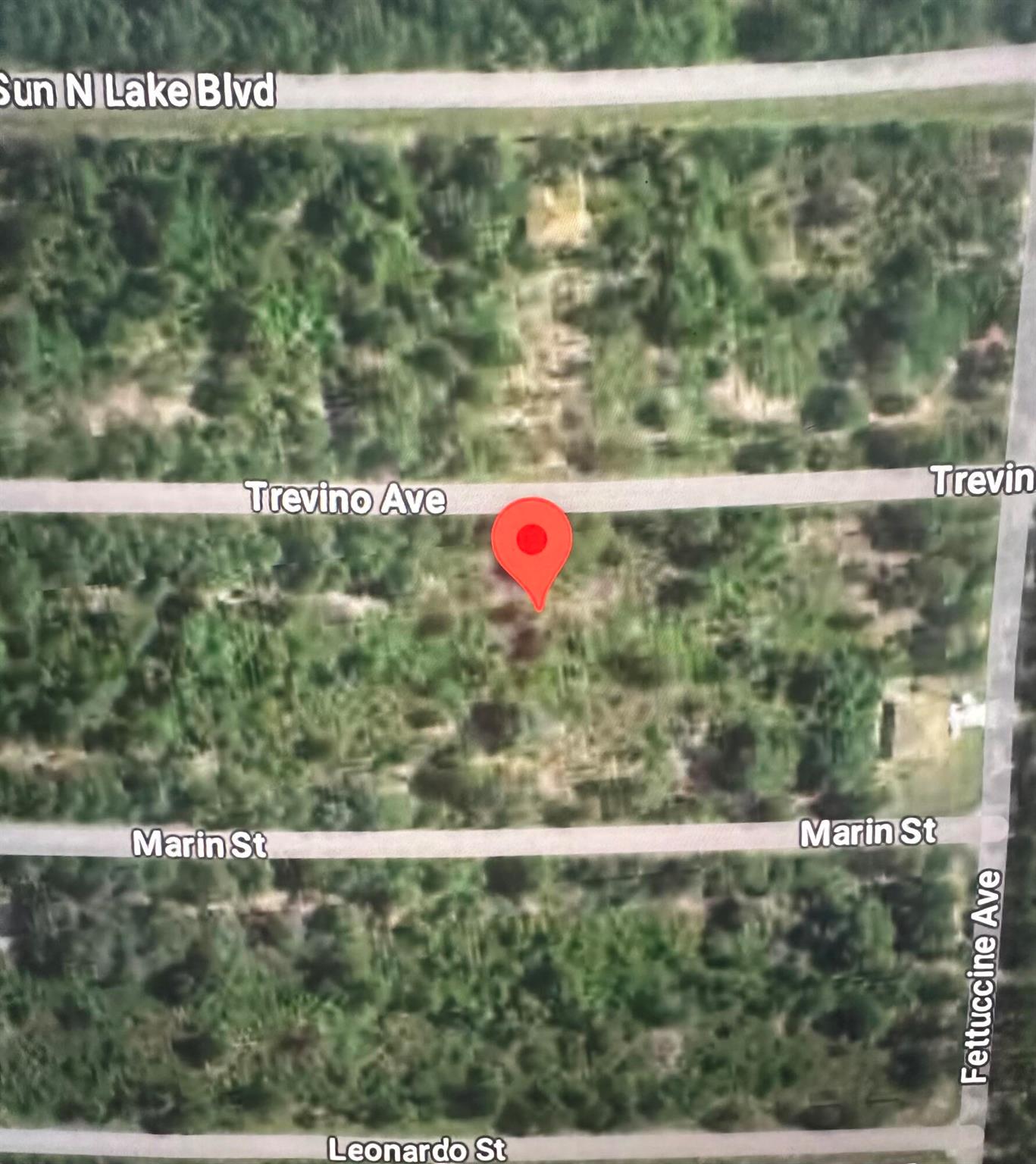OWNER MOTIVATED : Thinking of building your dream home? Look no further! Enjoy that country but not too far from the city feeling. Don't miss this great opportunity to own a beautiful lot in the Famous town. Paved roads with electric nearby. This listing is for one residential wooded lot located in Sun N Lake. Buyer to do due diligence and verify all information. All information recorded in MLS is intended to be accurate.