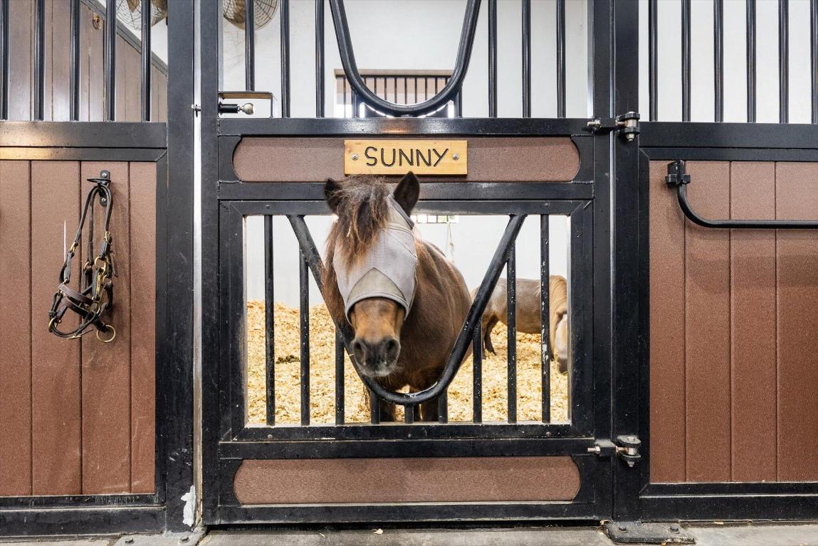 GRAND PRIX VILLAGE SOUTH - Residential Lease