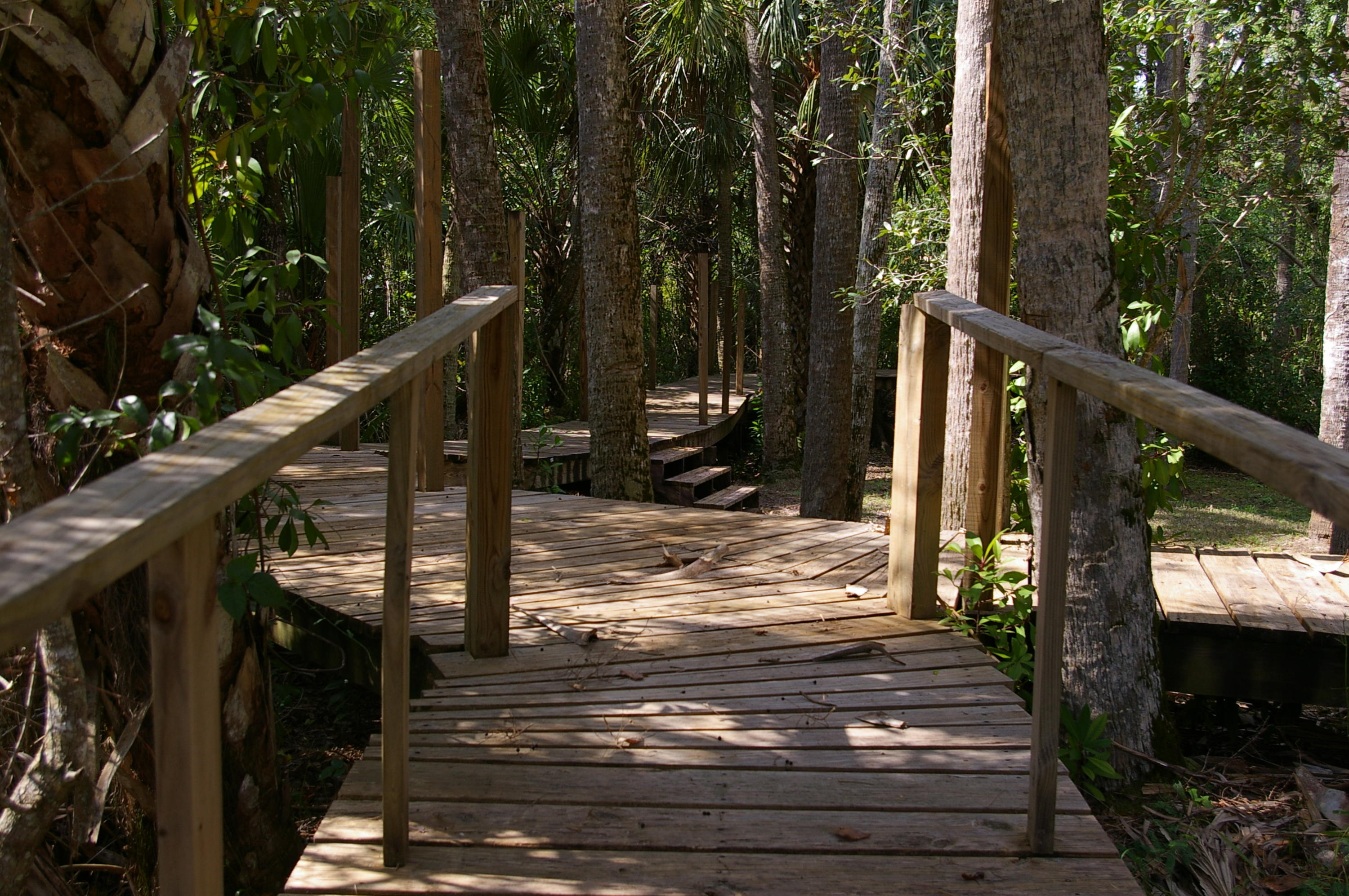 River Hammock - Residential