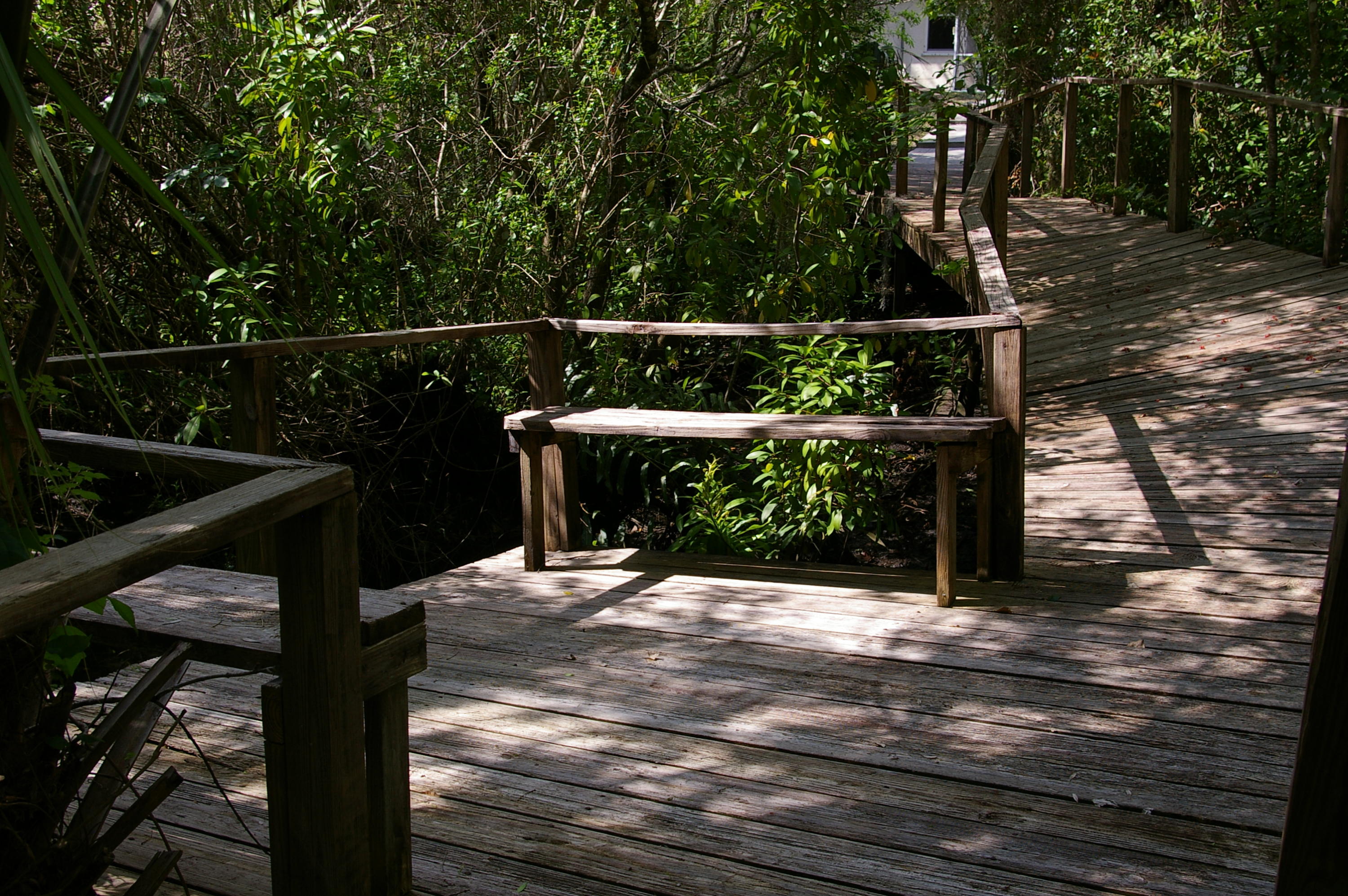 River Hammock - Residential