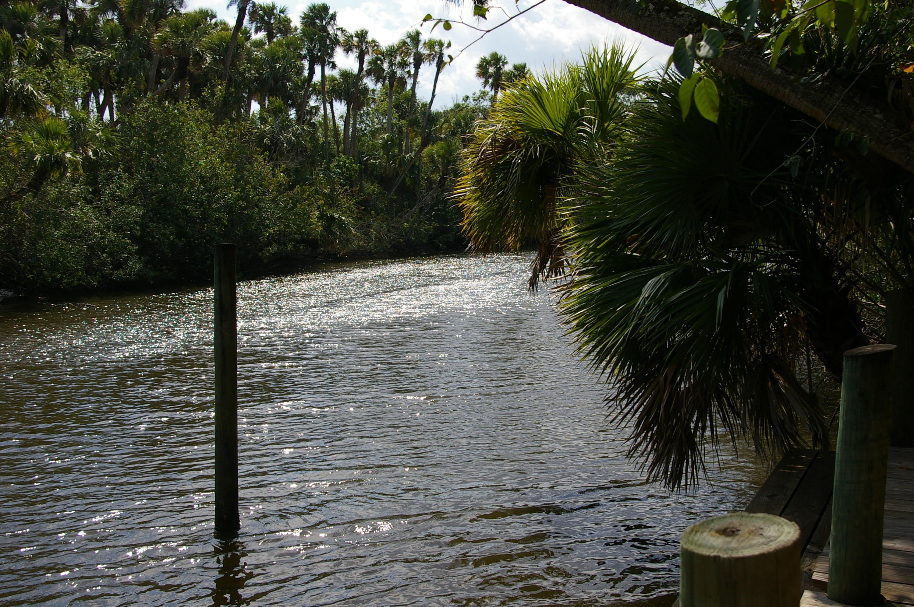 River Hammock - Residential