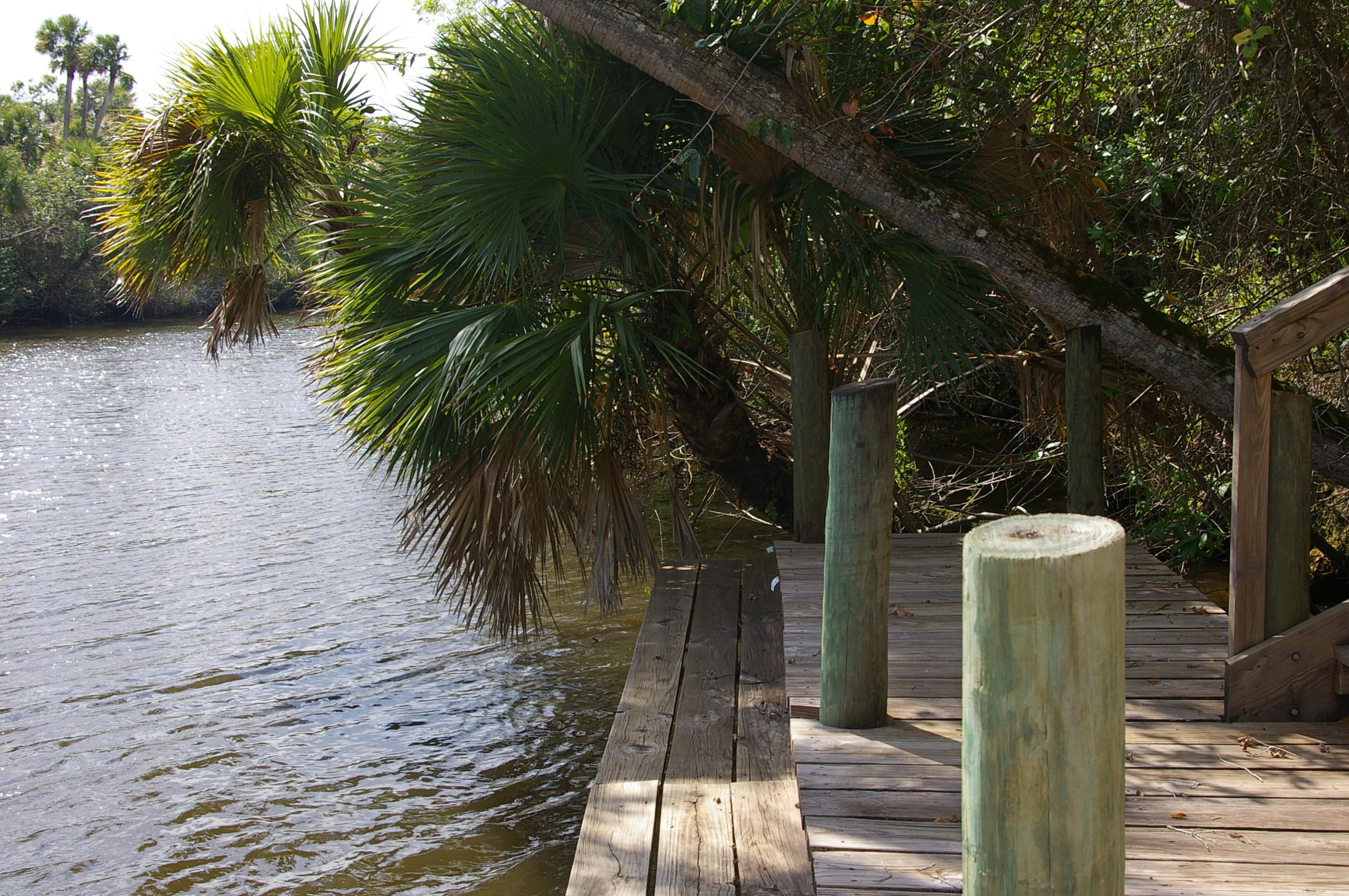 River Hammock - Residential
