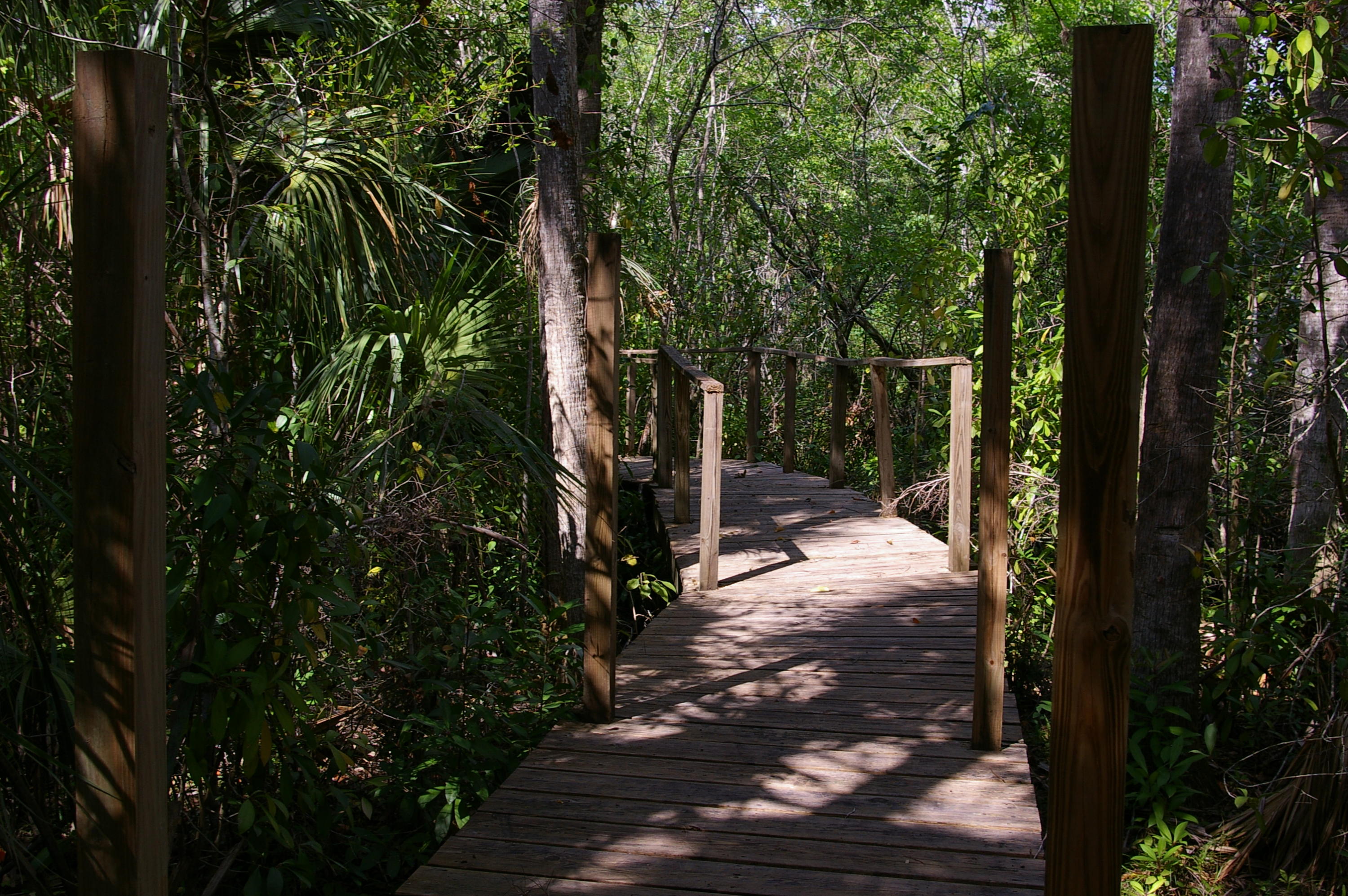 River Hammock - Residential