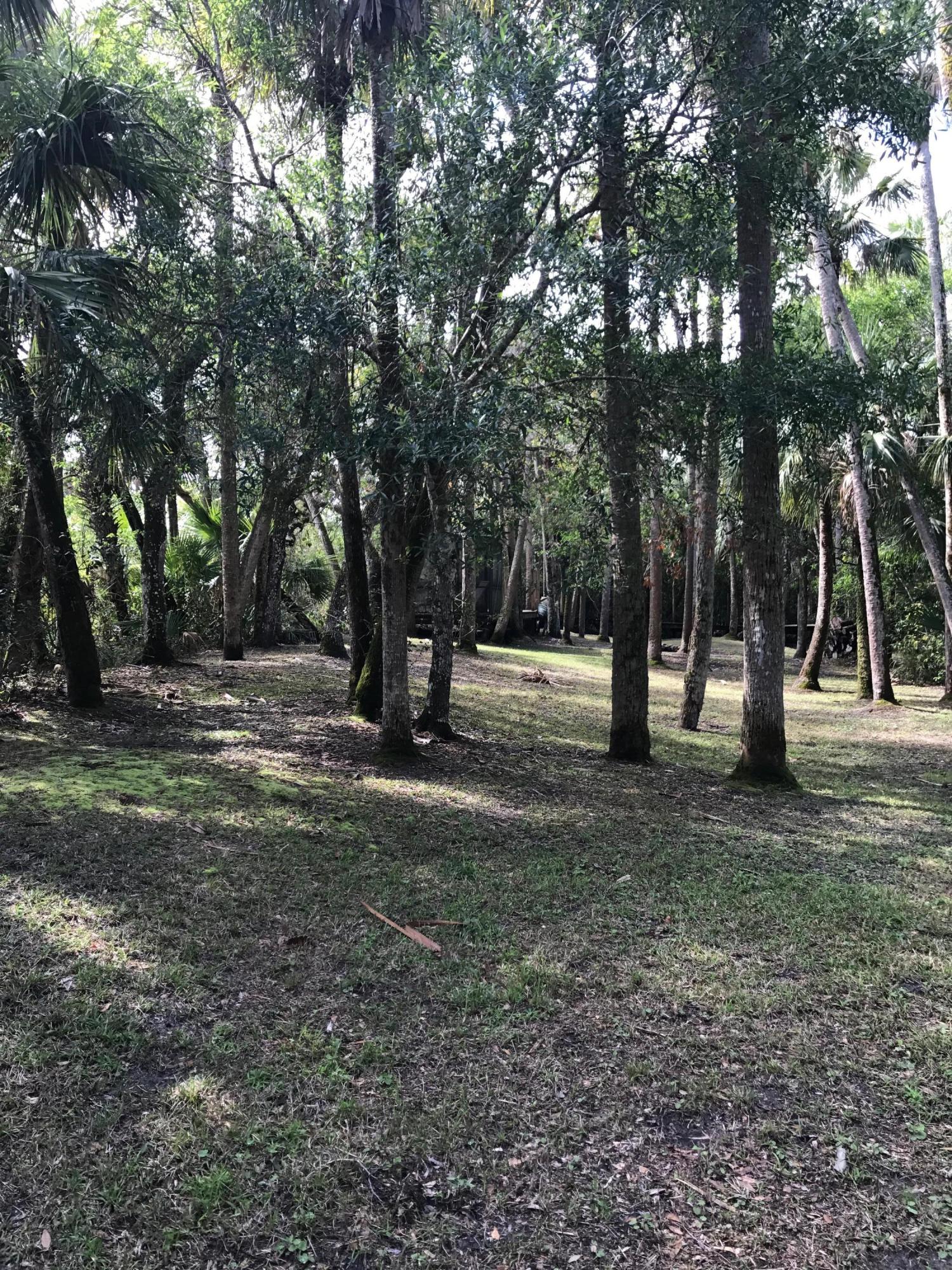 River Hammock - Residential