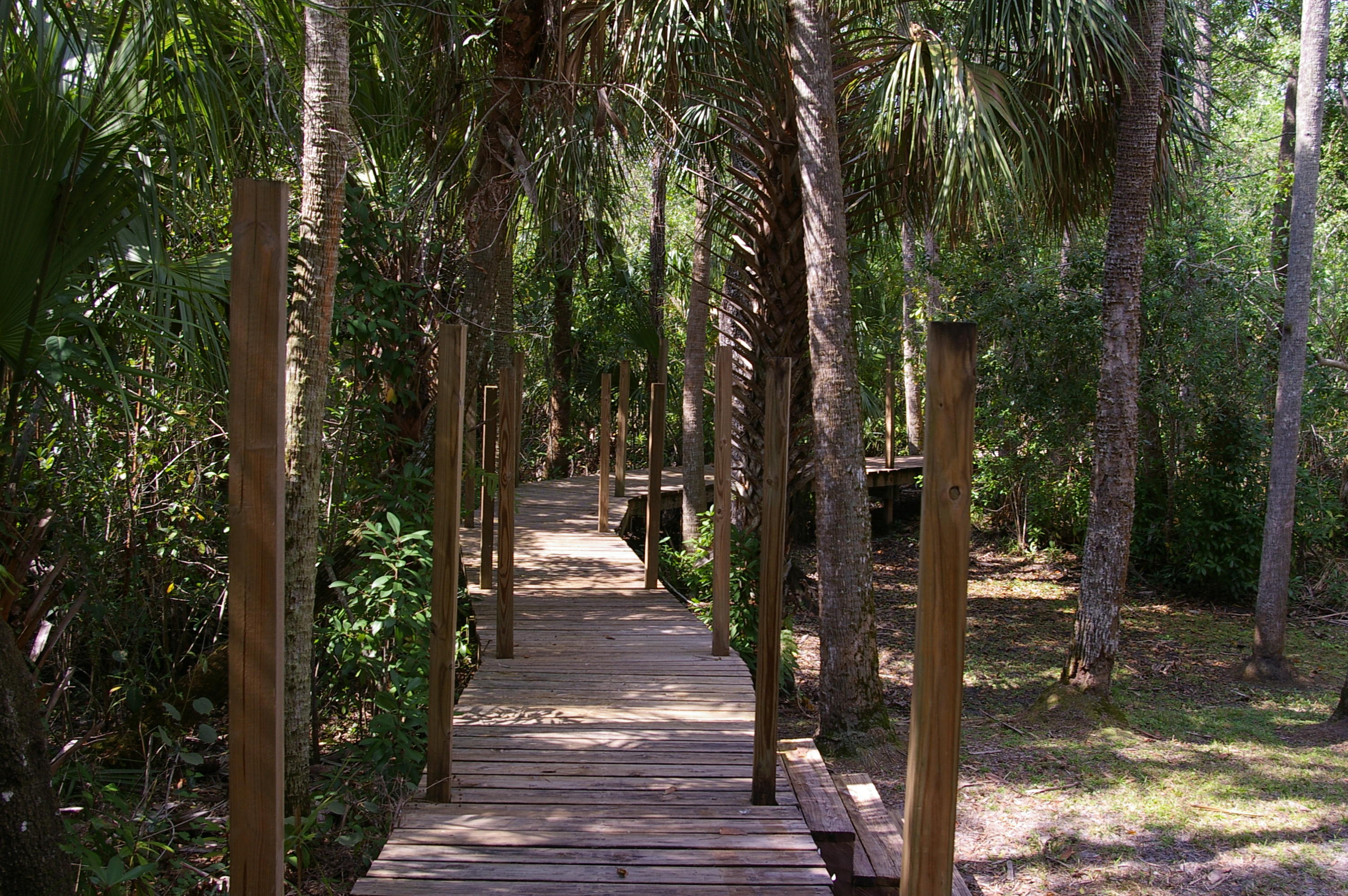 River Hammock - Residential