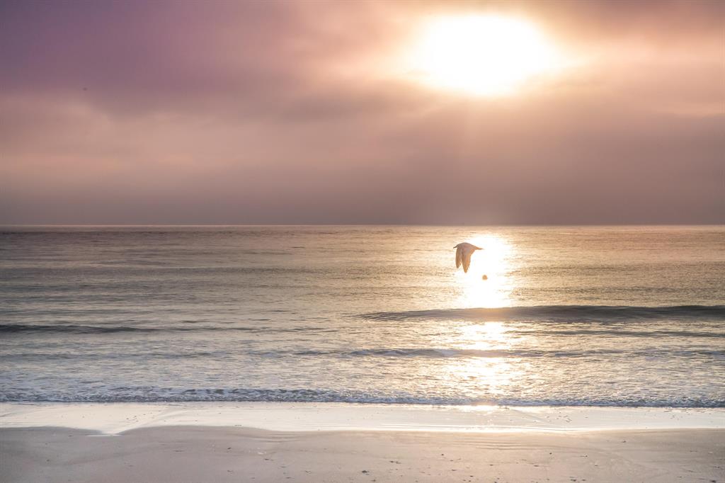 Antigua - Residential