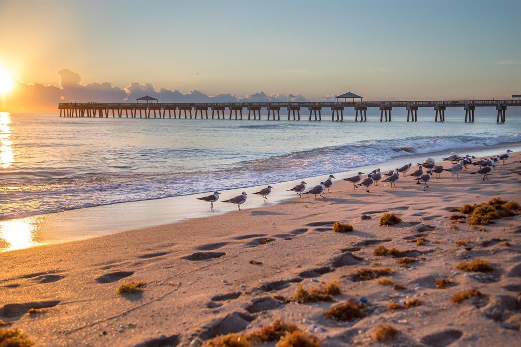 Antigua - Residential