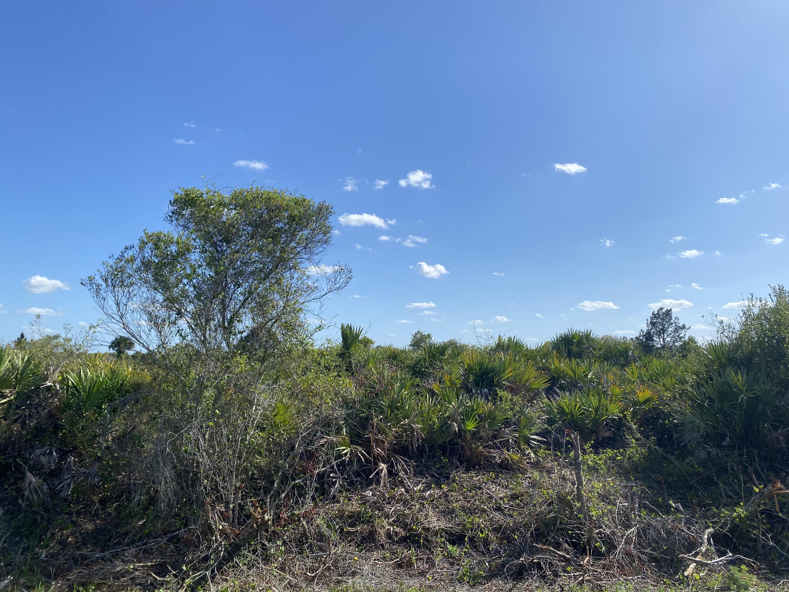 Build or bring your dream home and barn on this beautiful and private high and dry 1.25 acre not too far of the main paved road but yet still private. with Power poles on this street So much to enjoy in Okeechobee County. Come to The Kissimmee River Preserve State Park West of this area as well is the Kissimmee River. The Kissimmee River flows into Lake Okeechobee and is well known for some of the best fishing. whether you like Fishing, hunting, mudding agriculture or just privacy here you have it all.