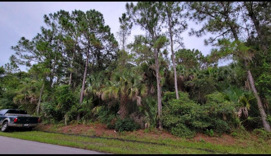 Come and Build your Dream Home in this quiet residential area of North Port FL, a lot of New Construction around making your property increase the value., excellent location, Schools, Hospitals etc.NO HOA. No Restrictions, bring your truck, boat, etc.Enjoy the Mineral Spring park just a few miles from your future home.