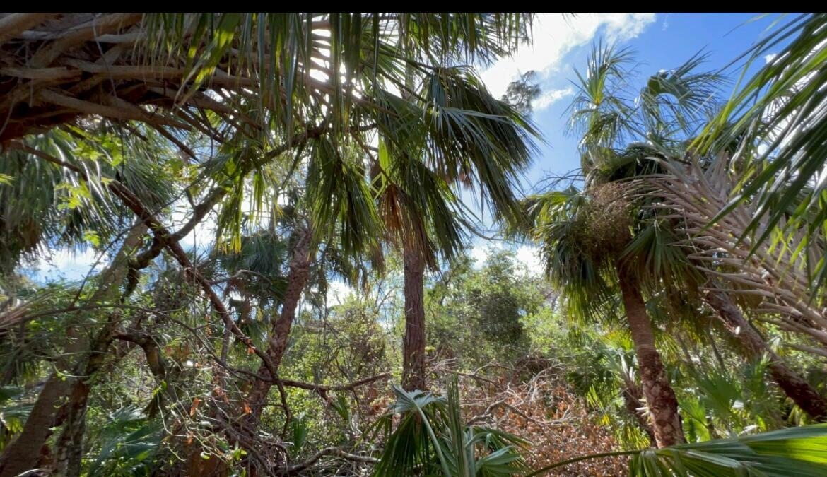 PORT CHARLOTTE SUB 07 - Land